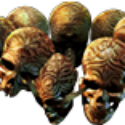 Path of Exile